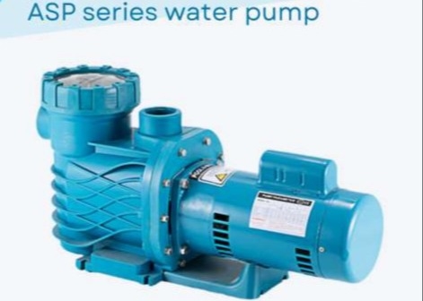 ASP100 Bombas de agua para piscinas