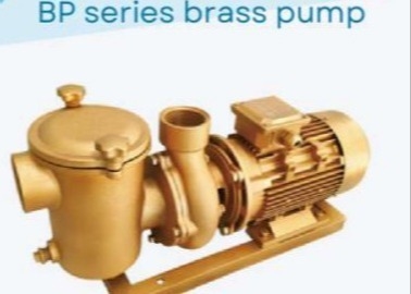 BP30 Pampas de agua para piscinas