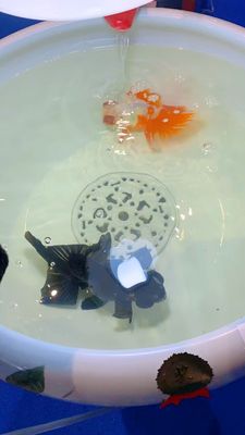 Cuenco de cerámica chino de los pescados del modelo 520m m de la peonía con la lámpara