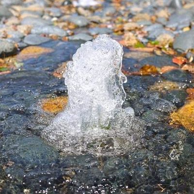 La fuente de agua de la burbuja de la taza del acero inoxidable equipa con inyector bocas de la fuente de la charca de las cabezas de espray