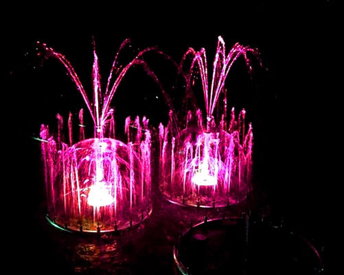 Característica de baile casera del agua de la decoración 110v el 1M
