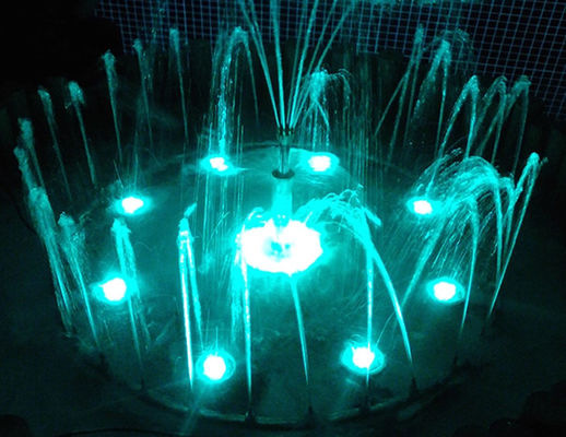 Característica de baile casera del agua de la decoración 110v el 1M