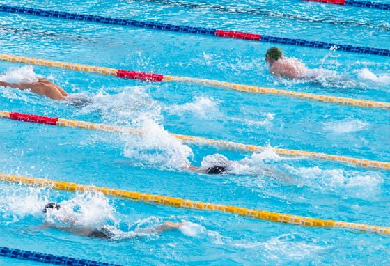 divisores del carril de la piscina de los 25m