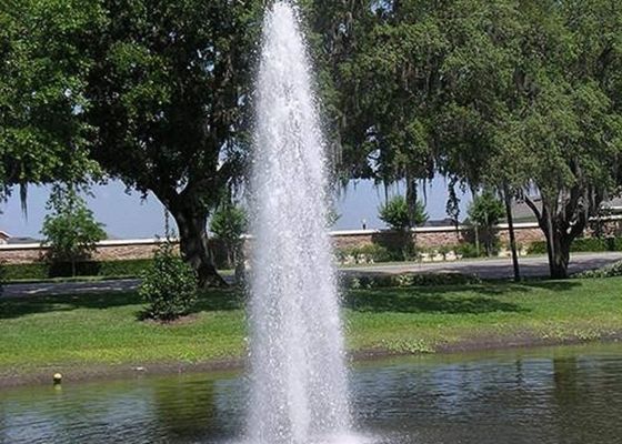 La fuente del baile de DN25 SS304 equipa con inyector la cabeza de regadera de la charca