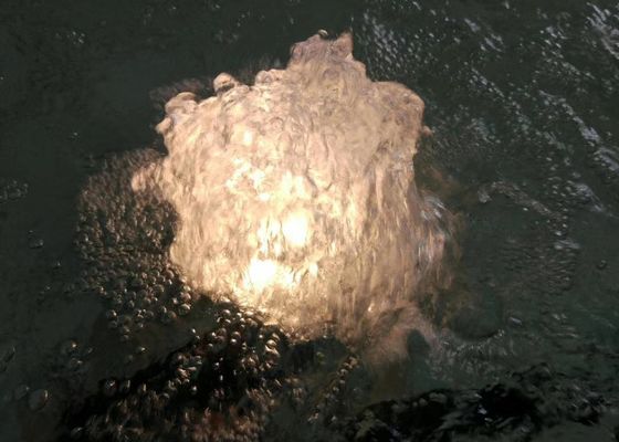 SS 80 L/M espuma Jet With Lamp de la fuente del baile de 1 pulgada