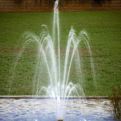 Fuente Jet Nozzles de la flor de la altura del espray de DN25 los 4.5m