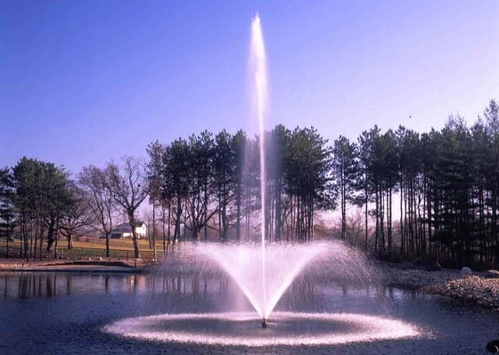 Fuente flotante de acero inoxidable del agua con la lámpara y la bomba