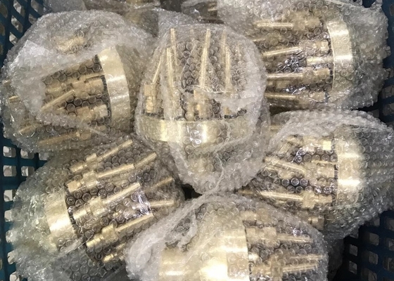 fuente ajustable Jet Nozzle del flor de Pool Fountain Accessories del modelo 3D
