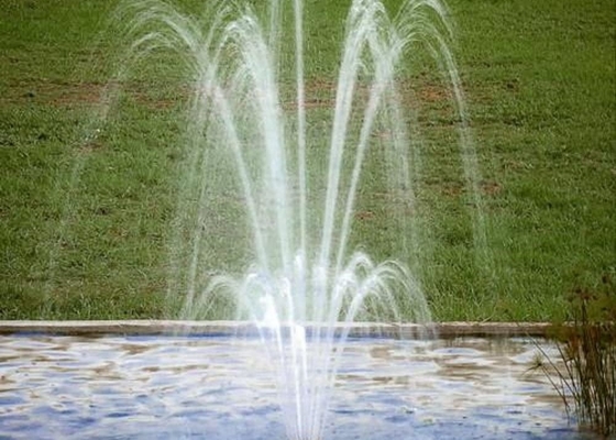 Capas ajustables de los accesorios de la fuente de la piscina DN50 las 3 florecen el jet de la boca de la fuente